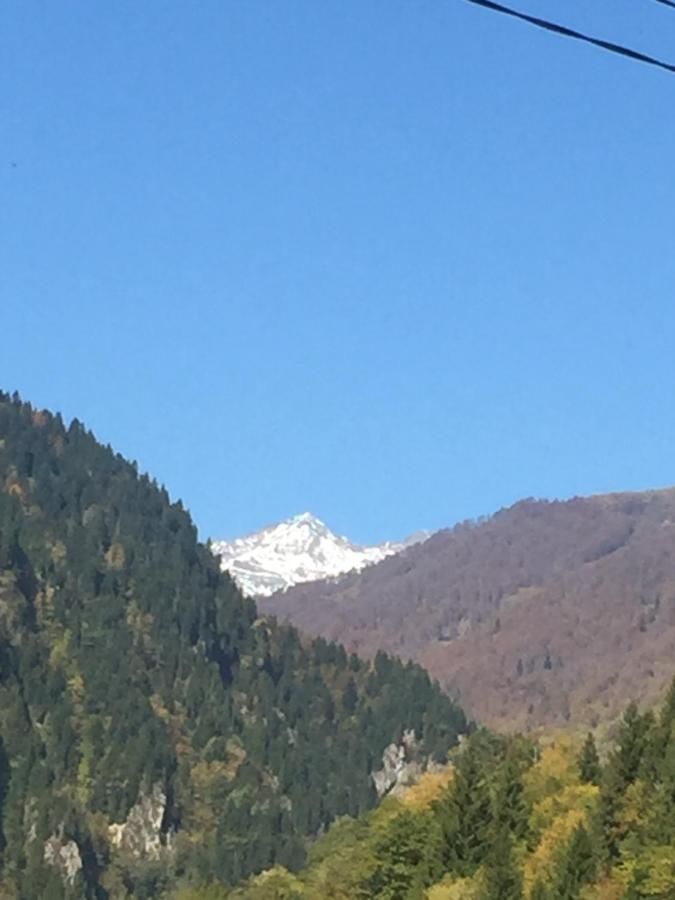 Гостевой дом GUESTHAUS SVANETI Lentekhi